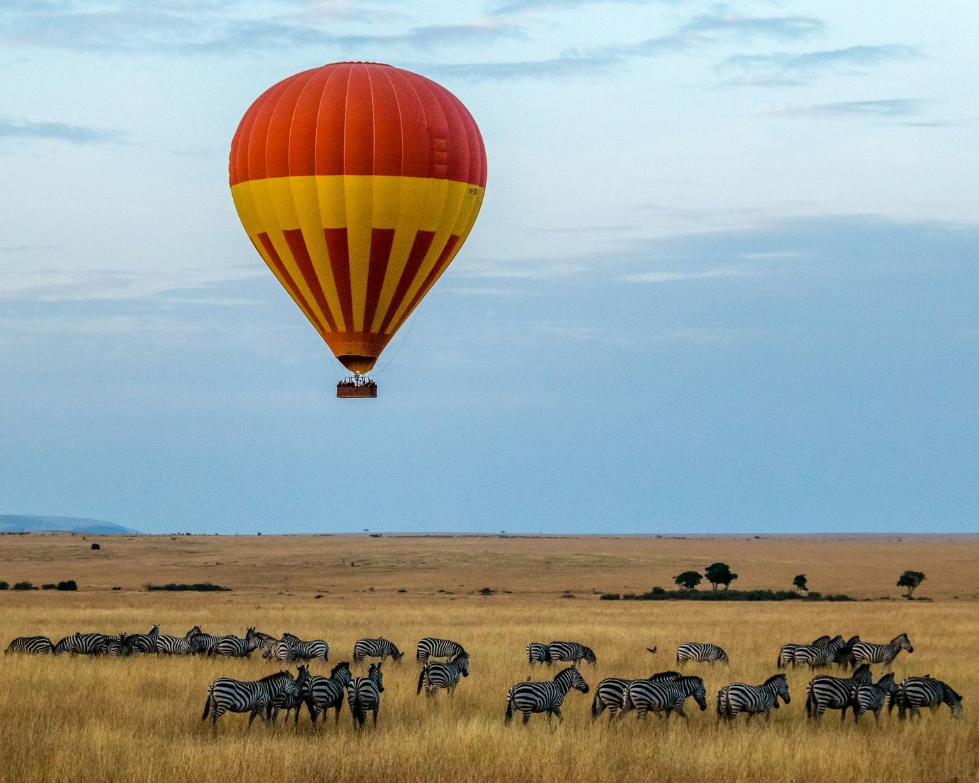 Globo sobre cebras en el Masai Mara